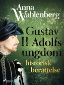 Gustav II Adolfs ungdom: historisk berättelse