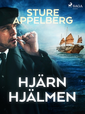 Hjärnhjälmen (e-bok) av Sture Appelberg