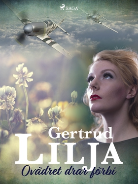 Ovädret drar förbi (e-bok) av Gertrud Lilja