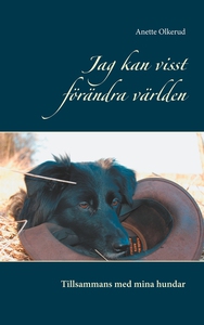 Jag kan visst förändra världen: Tillsammans med