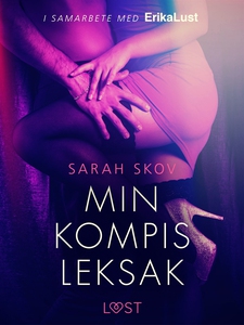 Min kompis leksak - erotisk novell (e-bok) av S