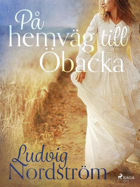 På hemväg till Öbacka (e-bok) av Ludvig Nordstr