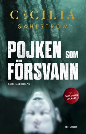 Pojken som försvann (e-bok) av Cecilia Sahlströ
