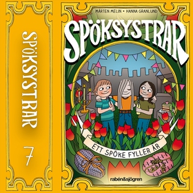 Ett spöke fyller år (ljudbok) av Mårten Melin