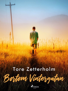 Bortom Vintergatan (e-bok) av Tore Zetterholm