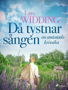 Då tystnar sången: en småstadskrönika (e-bok) a