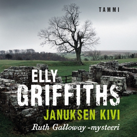 Januksen kivi (ljudbok) av Elly Griffiths