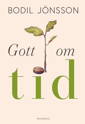 Gott om tid (e-bok) av Bodil Jönsson