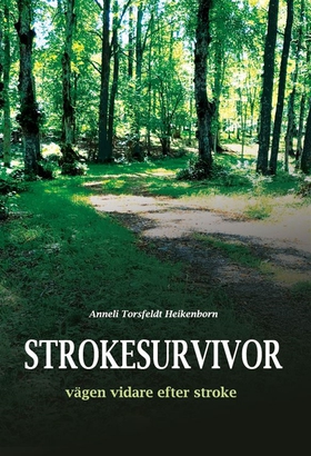 Strokesurvivor- vägen vidare efter stroke (e-bo