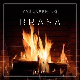 Avslappning - Brasa (ljudbok) av Rasmus Broe