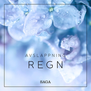 Avslappning - Regn (ljudbok) av Rasmus Broe