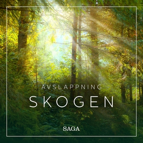 Avslappning - Skogen (ljudbok) av Rasmus Broe