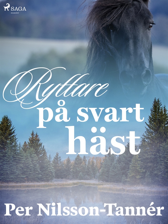 Ryttare på svart häst