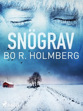 Snögrav (e-bok) av Bo R. Holmberg