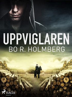 Uppviglaren (e-bok) av Bo R. Holmberg