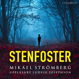 Stenfoster (ljudbok) av Mikael Strömberg