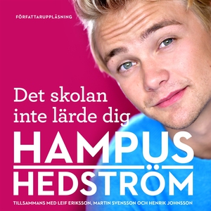 Det skolan inte lärde dig (ljudbok) av Leif Eri