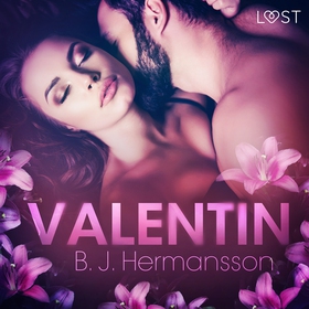 Valentin (ljudbok) av B. J. Hermansson