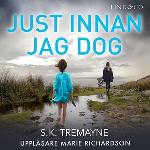 Just innan jag dog (ljudbok) av S.K. Tremayne