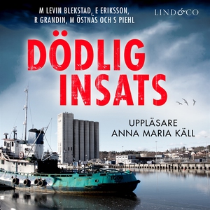 Dödlig insats (ljudbok) av Erik Eriksson, Marga