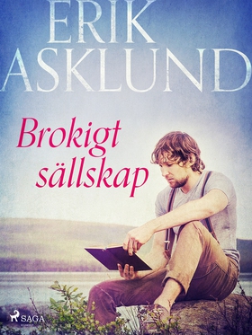Brokigt sällskap (e-bok) av Erik Asklund
