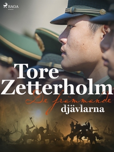 De främmande djävlarna (e-bok) av Tore Zetterho
