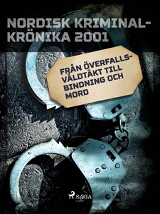 FBI - världens främsta polisorganisation? (e-bo