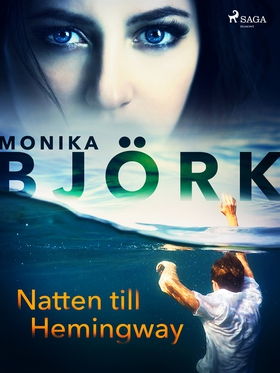 Natten till Hemingway (e-bok) av Monika Björk