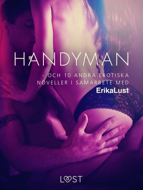 Handyman - och 10 andra erotiska noveller i sam