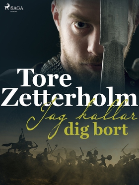 Jag kallar dig bort (e-bok) av Tore Zetterholm