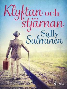 Klyftan och stjärnan (e-bok) av Sally Salminen