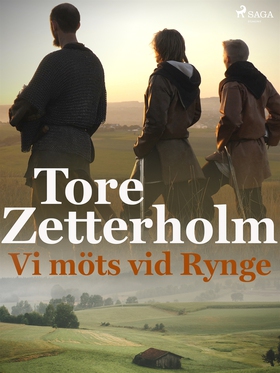 Vi möts vid Rynge (e-bok) av Tore Zetterholm