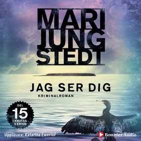 Jag ser dig (ljudbok) av Mari Jungstedt