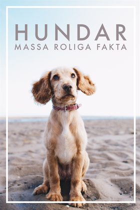 HUNDAR Massa roliga fakta (Epub2) (e-bok) av Ni