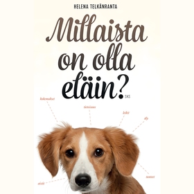 Millaista on olla eläin? (ljudbok) av Helena Te