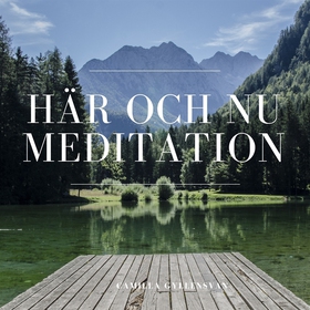 Meditation - Här och nu (ljudbok) av Camilla Gy