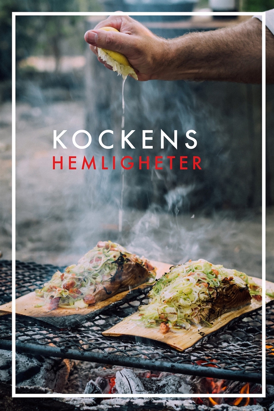 Kockens hemligheter 2 (PDF)