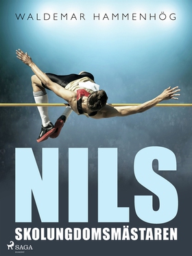 Nils, skolungdomsmästaren (e-bok) av Waldemar H
