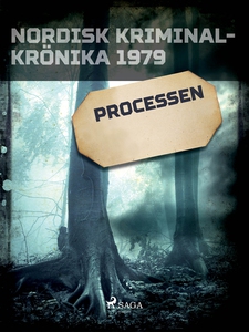 Processen (e-bok) av Diverse