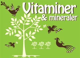 Hälsoserien : Vitaminer och mineraler (PDF) (e-