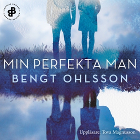 Min perfekta man (ljudbok) av Bengt Ohlsson