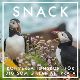 SNACK : Konversationskort för dig som gillar at