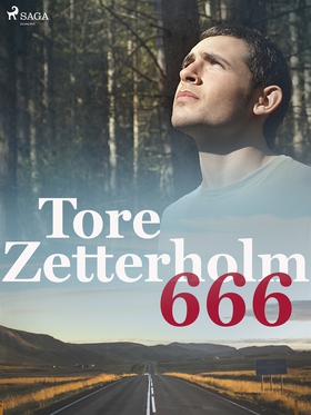 666 (e-bok) av Tore Zetterholm