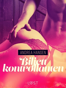 Biljettkontrollanten - erotisk novell (e-bok) a