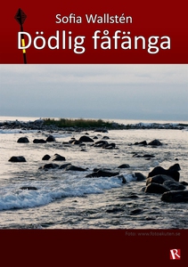 Dödlig fåfänga (e-bok) av Sofia Wallstén