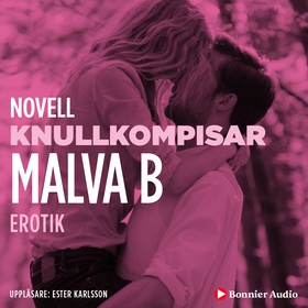 Knullkompisar : en novell ur Begär (ljudbok) av