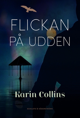 Flickan på udden (e-bok) av Karin Collins