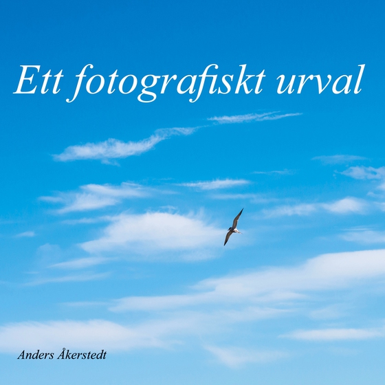 Ett fotografiskt urval (e-bok) av Anders Åkerstedt