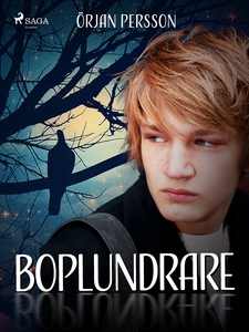 Boplundrare (e-bok) av Örjan Persson