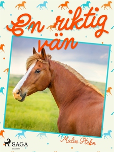 En riktig vän (e-bok) av Malin Stehn